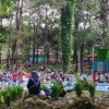 Obyek Wisata Woodland